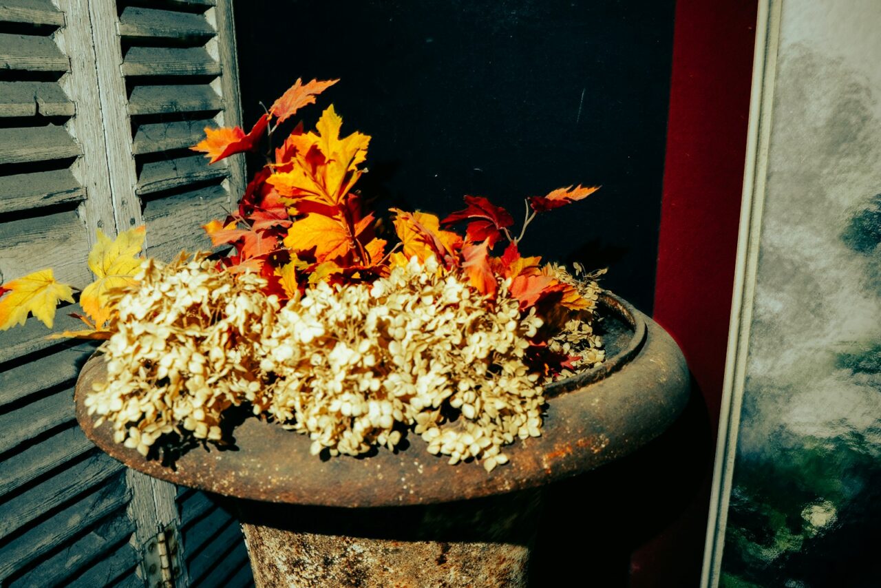 Herfstpotten maken: drie plantcombinaties die maanden kleur geven
