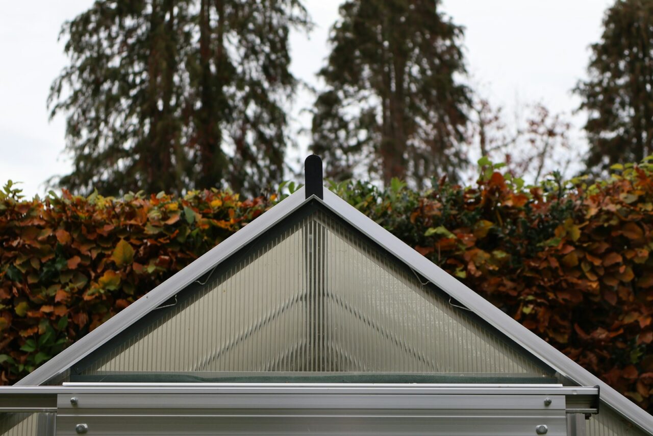 Kas in de tuin: zo verleng je het groeiseizoen tot diep in de herfst