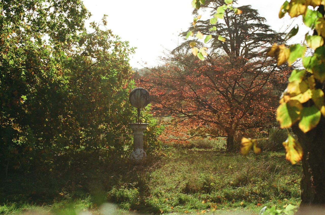 Dit snoei je in oktober en dit laat je met rust in de tuin