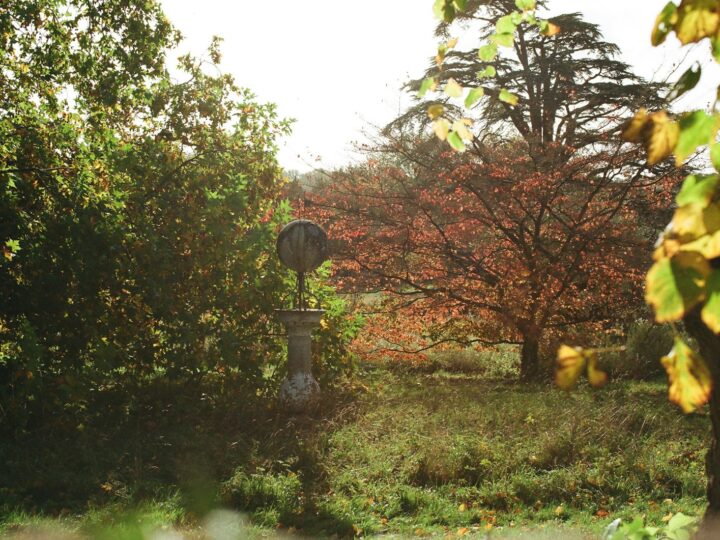 Dit snoei je in oktober en dit laat je met rust in de tuin