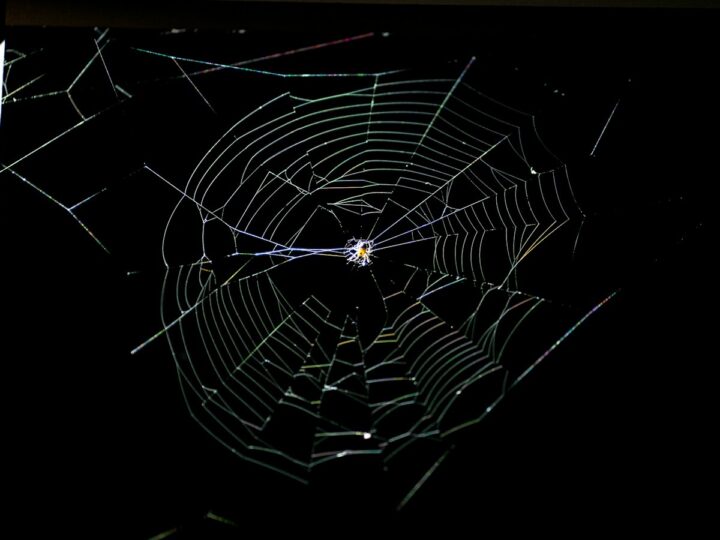 Spinnenwebben op je buitenramen in de herfst: zo houd je ze weg